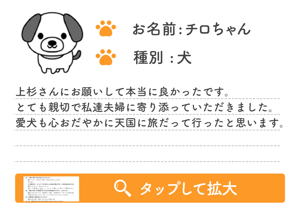 上杉さんにお願いして本当に良かったです。
とても親切で私達夫婦に寄り添っていただきました。
愛犬も心おだやかに天国に旅だって行ったと思います。